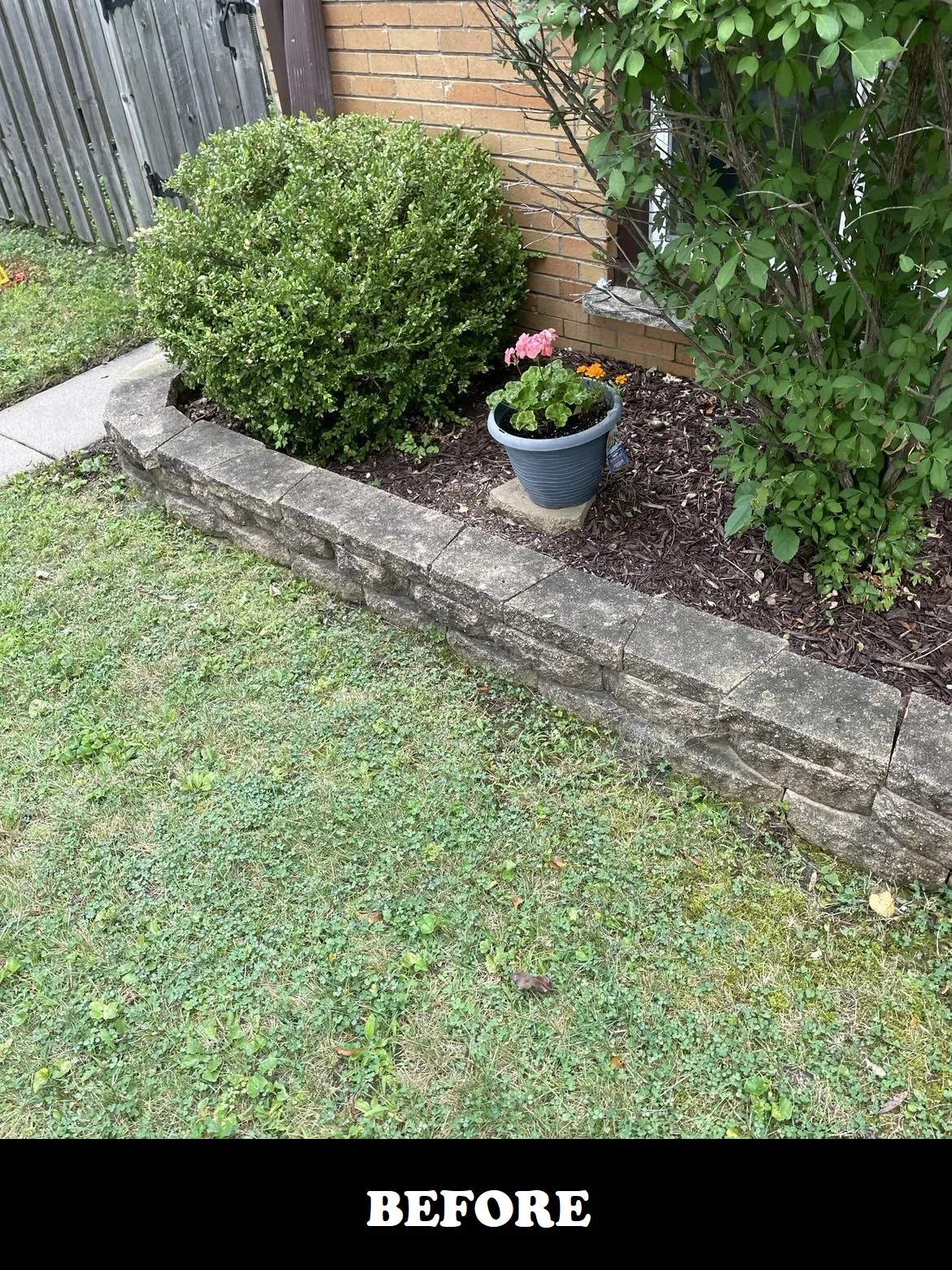 residential bricks before powerwash