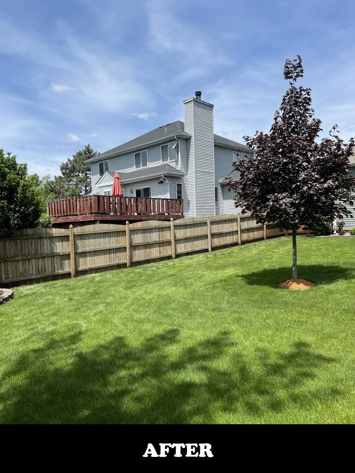 residential fence after powerwash